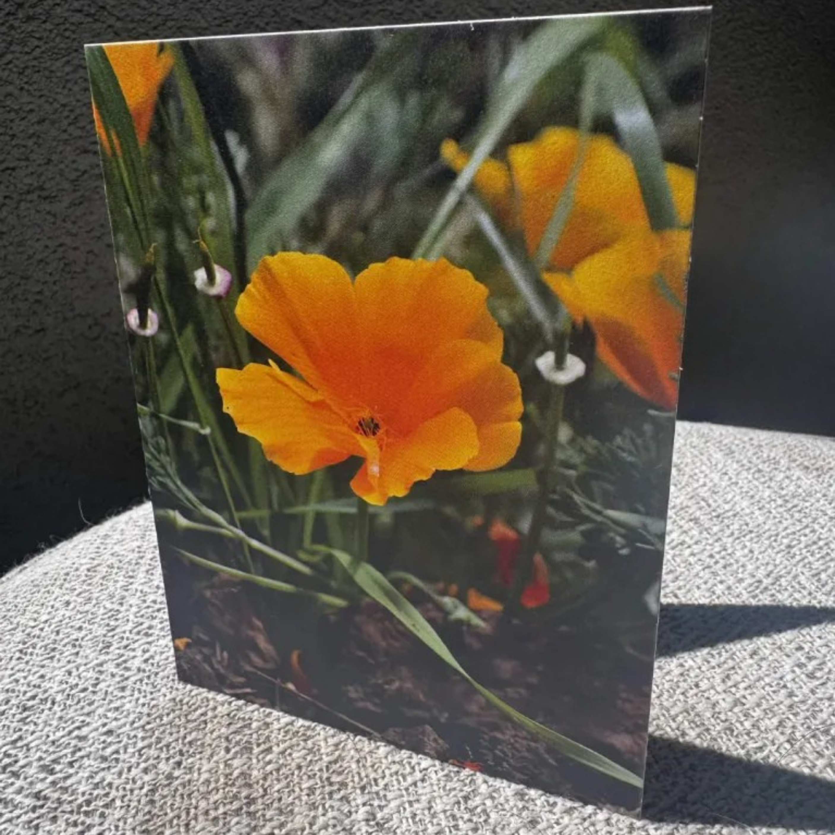 Garden Greeting Card Set