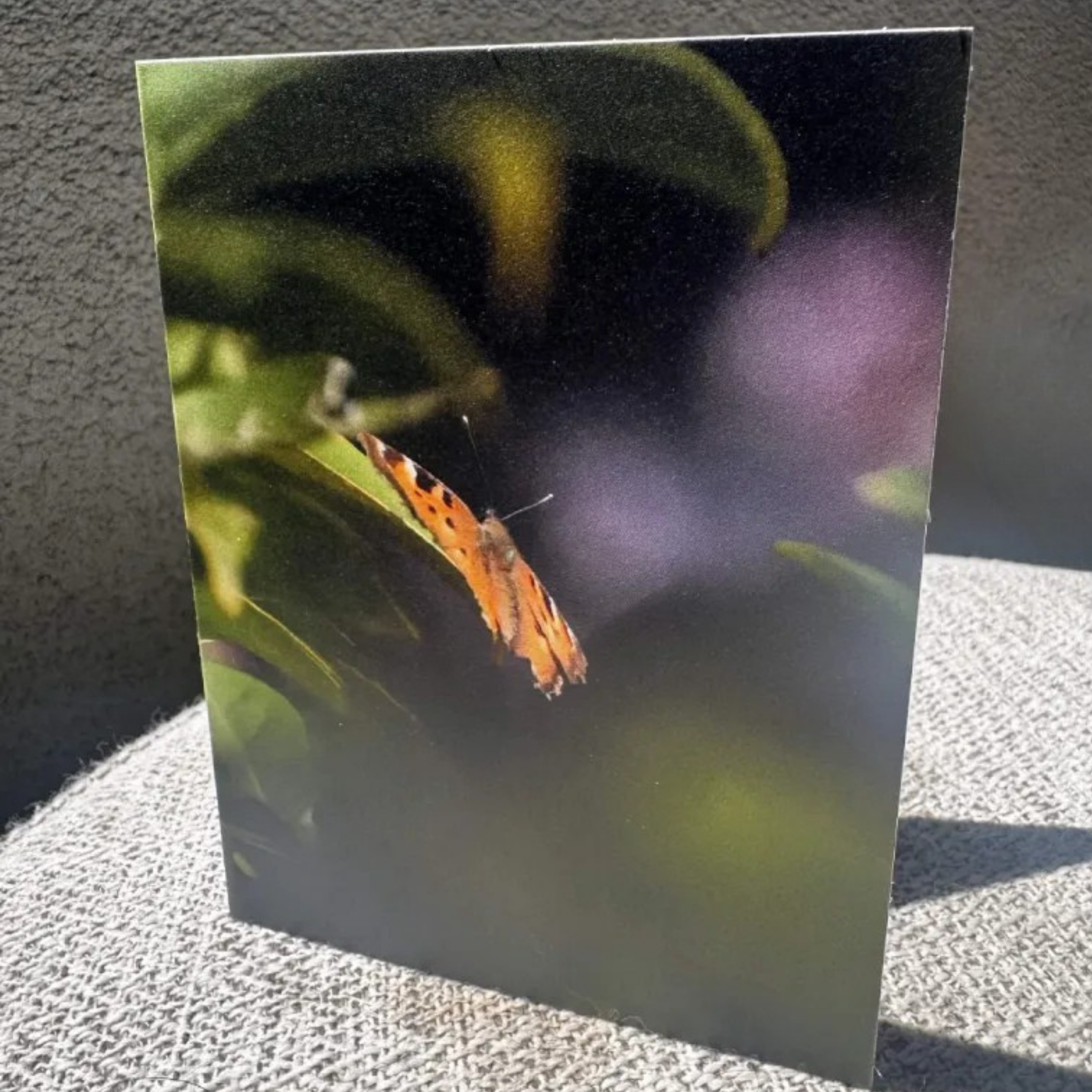 Butterfly Greeting Card