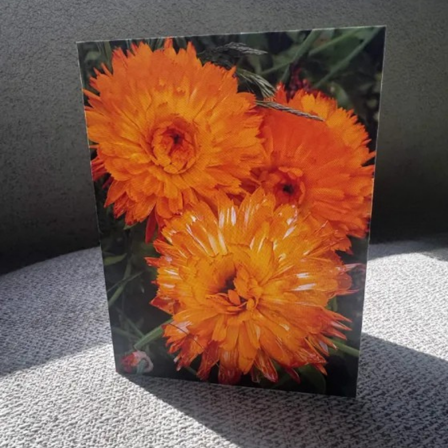 Orange Marigold Flower Greeting Card